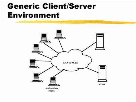 Managing Client-Server Environments Tools and Strategies for Building Solutions Reader