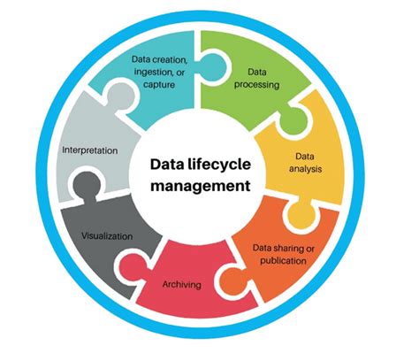 Managing Information and Statistics Epub