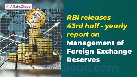 Managing foreign exchange reserves: