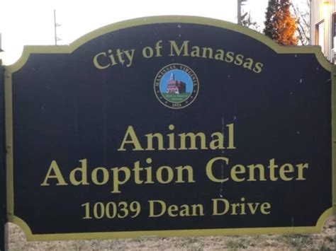 Manassas City Animal Shelter: A Haven for Hope and Compassion