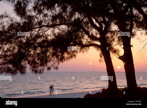 Manatee County: A Haven for Nature and Culture on Florida's Gulf Coast