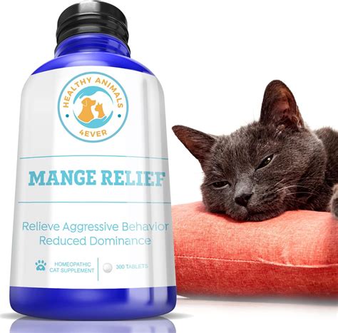 Mange Medicine for Cats: The Ultimate Guide