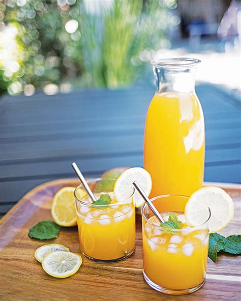 Mango Maddie: The Sweet and Savory Delights of a Tropical Treat