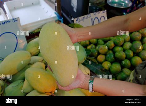 Mango Market Overview: A Burst of Flavors and Dollars