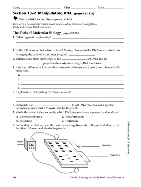 Manipulating Dna Answer Key Reader