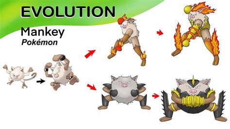 Mankey Evo Level 30: The Key to Earning Primeape