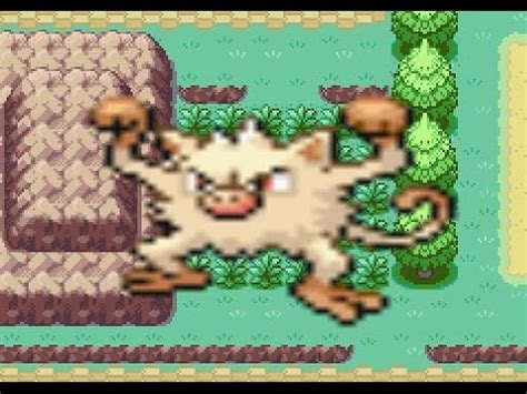 Mankey Powers Up in Pokémon Fire Red!