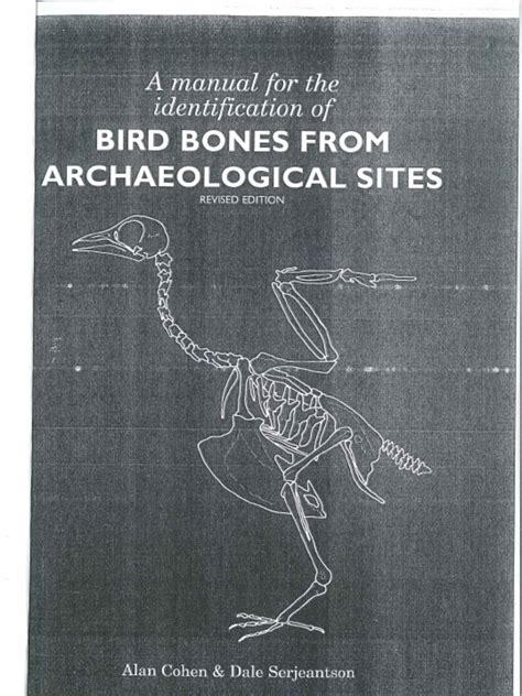 Manual for the Identification of Bird Bones from Archaeological Sites PDF