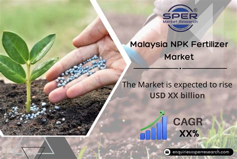 Manufacturing NPK Fertilizer: 10,000+ Insights for Enhanced Crop Yield