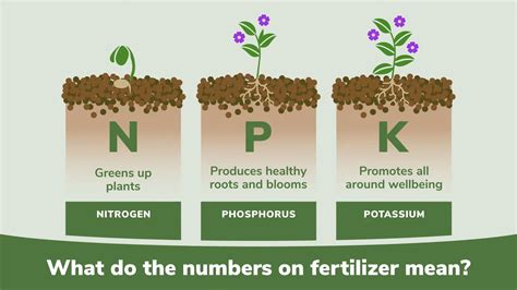 Manufacturing NPK Fertilizer: A Comprehensive Guide for Beginners