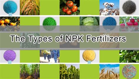 Manufacturing of NPK Fertilizers: A Comprehensive Guide