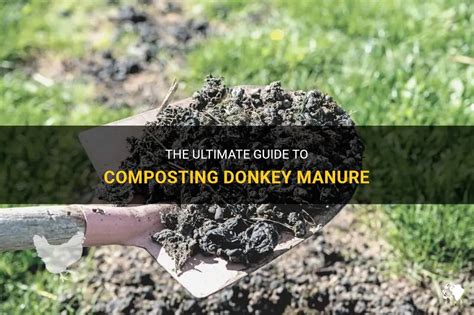 Manure Crusher: The Ultimate Guide to Pulverizing Your Waste