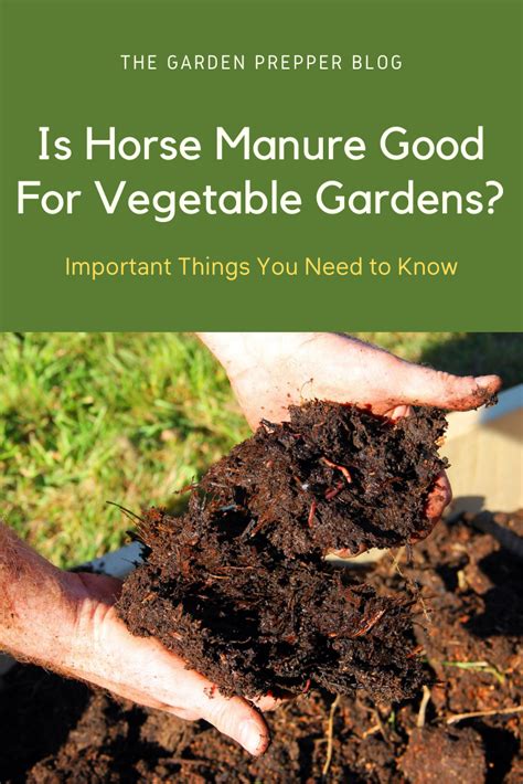 Manure Granulator: 25 Essential Things You Need to Know