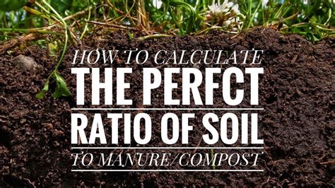 Manure Granulator: The Ultimate Guide to Nutrient-Rich Soil