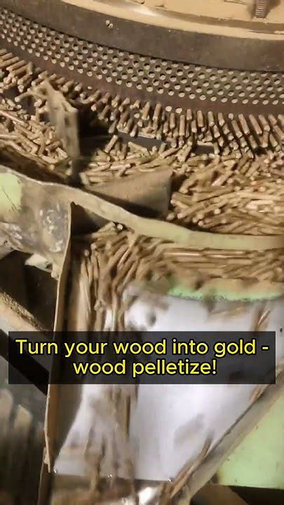 Manure Pelletizer: Turn Your Waste into a Profitable Goldmine!