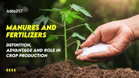 Manures Fertilizer Pellet Production Line: The 9-Step Guide to Profitable and Sustainable Farming