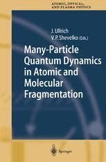 Many-Particle Quantum Dynamics in Atomic and Molecular Fragmentation 1st Edition Reader