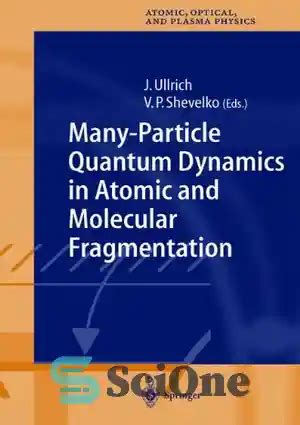 Many-Particle Quantum Dynamics in Atomic and Molecular Fragmentation 1st Edition Reader