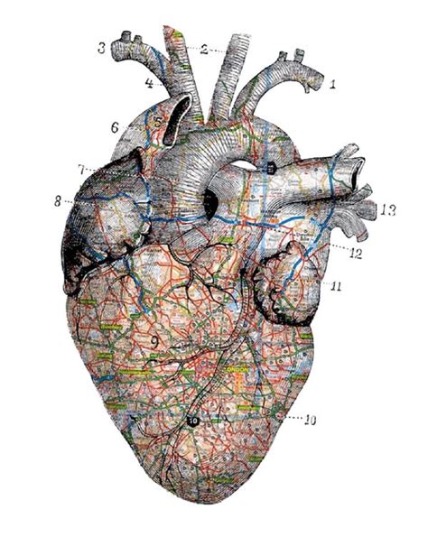 Map of the Heart Doc