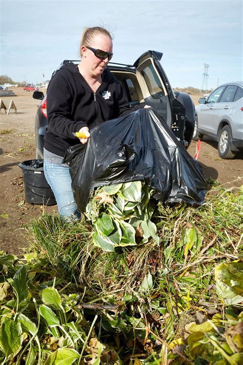 Maple Grove Waste Yard: A Comprehensive Guide to Waste Disposal