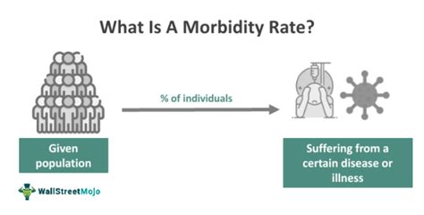 Mapping mortality and morbidity rates Statistical primer Doc