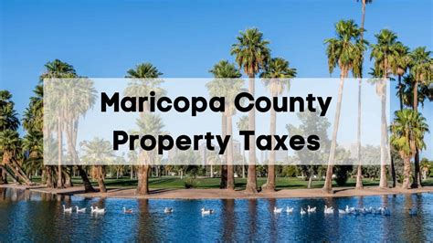 Maricopa County Property Tax Search - The Basics