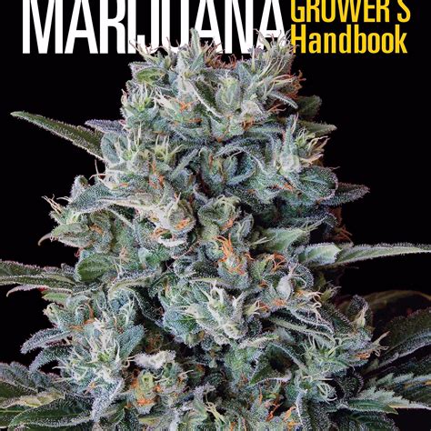 Marijuana Grower s Handbook Your Complete Guide for Medical and Personal Marijuana Cultivation Reader