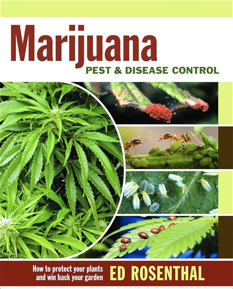 Marijuana Pest and Disease Control How to Protect Your Plants and Win Back Your Garden Kindle Editon