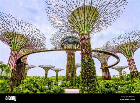 Marina Gardens Drive Gardens By The Bay 101