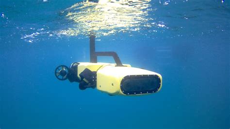 Marine Armor: A Protective Shield for Underwater Explorations