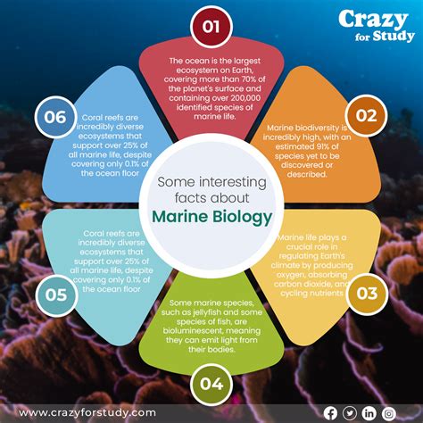 Marine Biology Function Doc