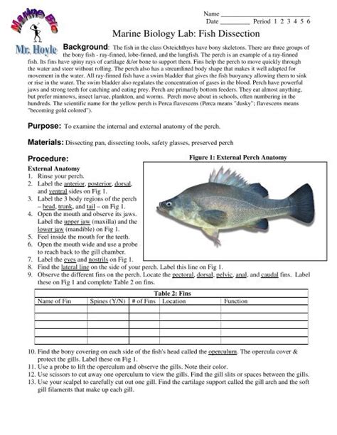 Marine Biology Lab Fish Dissection Answers PDF