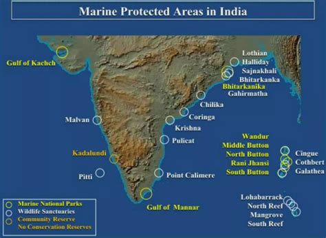 Marine Protected Areas in India Status of Coastal Wetlands and their Conservation Kindle Editon