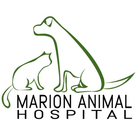 Marion Animal Hospital NC: 10,000+ Satisfied Pet Owners Can't Be Wrong