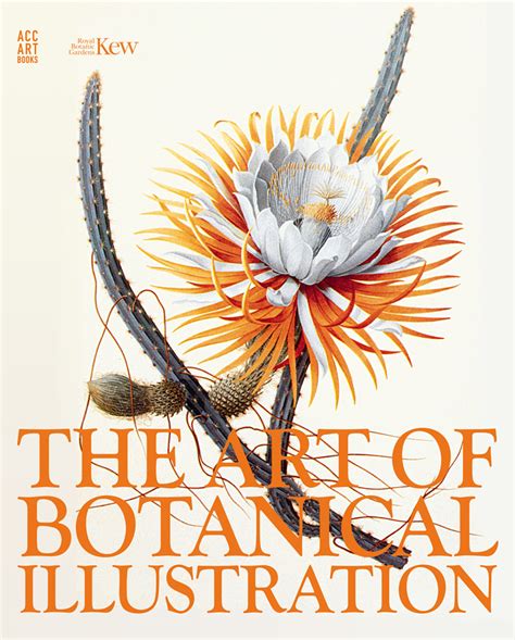 Marjolein Faber: Exploring the Art of Botanical Illustration