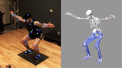 Markerless Motion Capture: