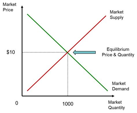 Market Dynamics: Supply, Demand, and Competition