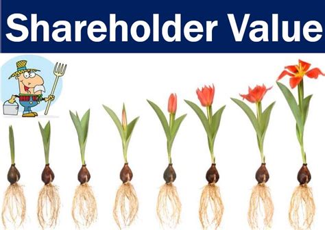 Market Performance and Shareholder Value