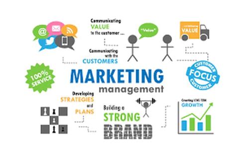 Marketing and Management: The Power Duo for Business Success