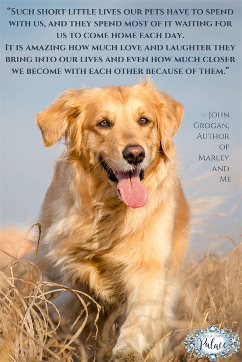 Marley and Me: The Beloved Cast of the Iconic Doggy Classic