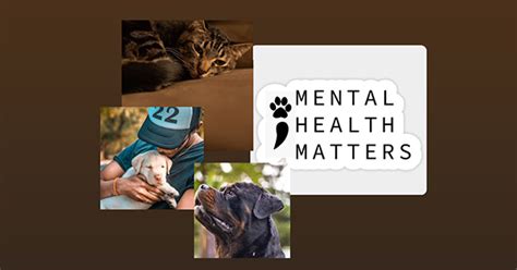 Marleybones for Pet Mental Health: A 2025 Comparison