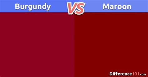 Maroon vs Burgundy: A Battle of Hues