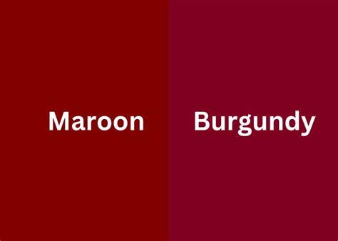 Maroon vs. Burgundy: The Ultimate Guide to Classic Hues