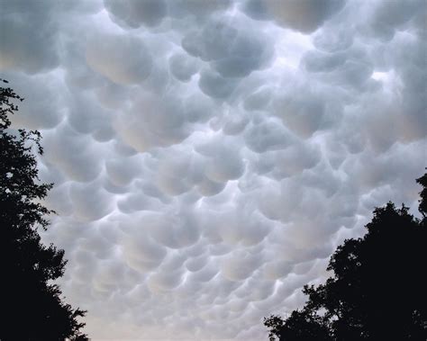 Marshmallow Clouds PDF