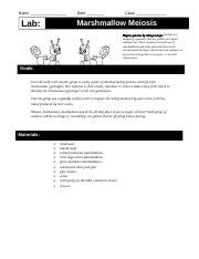 Marshmallow Meiosis Lab And Answers Epub