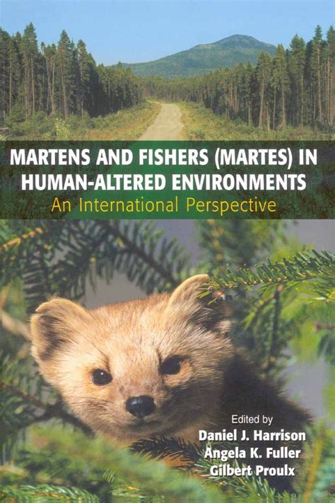 Martens and Fishers (Martes) in Human-Altered Environments An International Perspective 1st Edition Doc