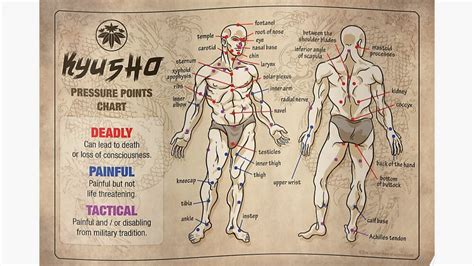 Martial Arts Pressure Points Chart