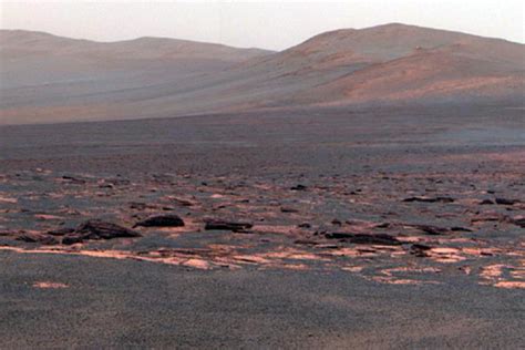 Martian Soil and Rock Hues: