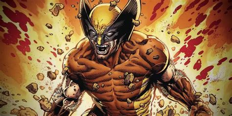 Marvel's Official Height for Wolverine: Unraveling the Numbers