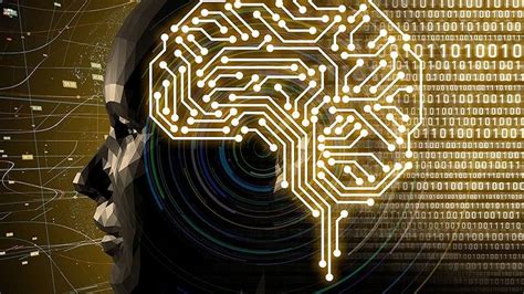 Mary O'Donnell: A Pioneer in Data Science and Machine Learning